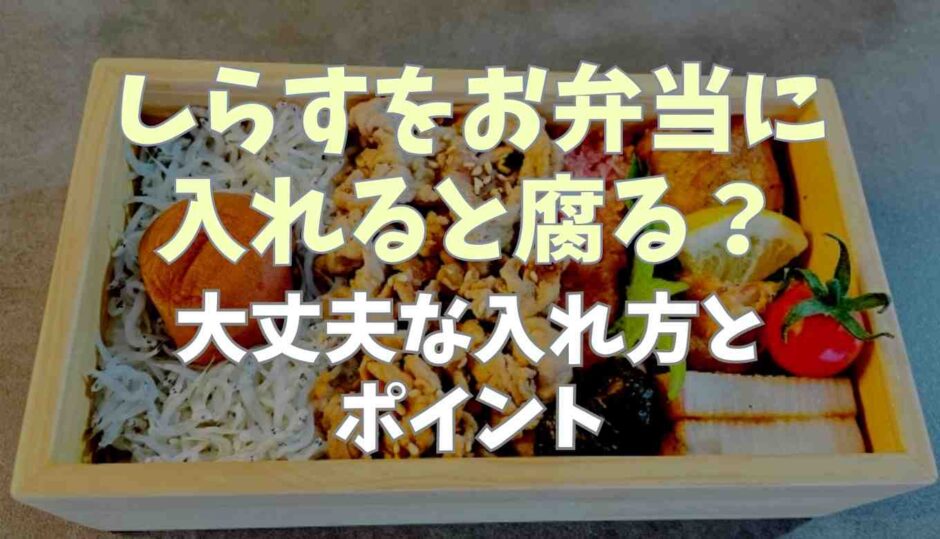 しらすをお弁当に入れると腐る？大丈夫な入れ方とポイント