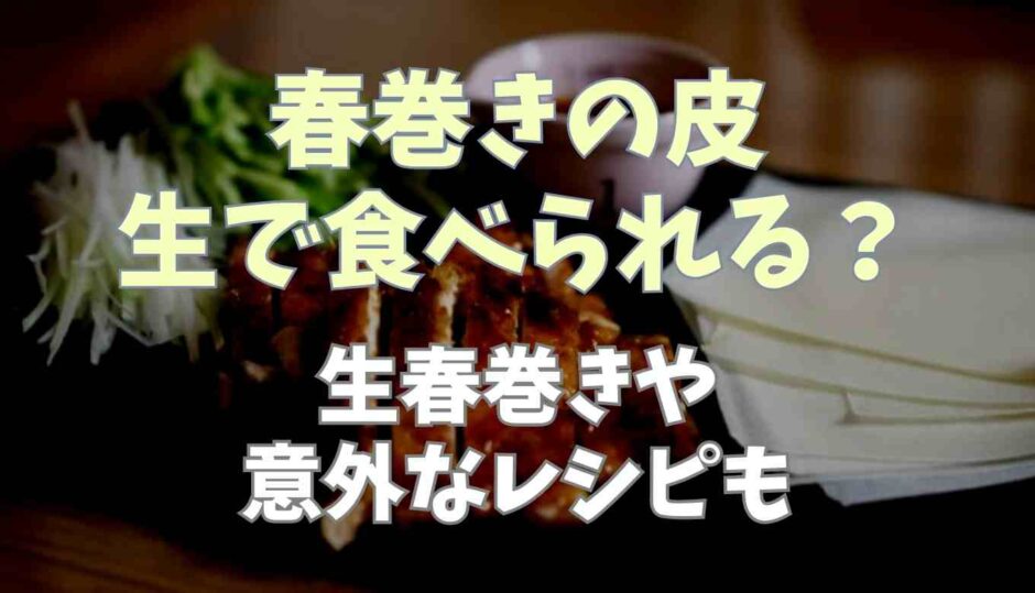 生春巻きの皮は生で食べられる？生春巻きや意外なレシピ