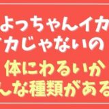 よっちゃんイカはイカじゃない？体に悪いかやどんな種類があるのかも紹介