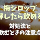 梅シロップ発酵したら飲める？対処法と飲むときの注意点