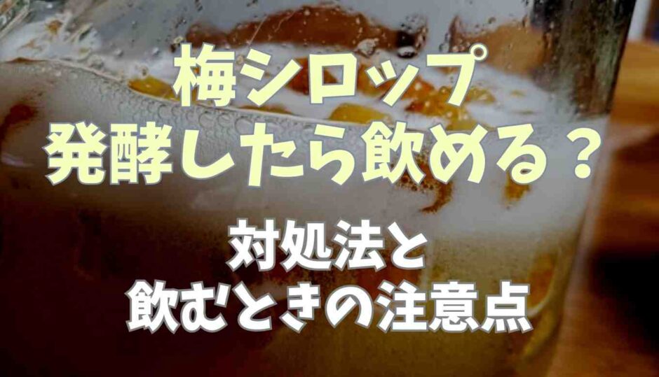 梅シロップ発酵したら飲める？対処法と飲むときの注意点