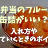 お弁当のフルーツは缶詰がいい？入れ方や持っていくときのポイント