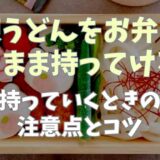 冷凍うどんをお弁当にそのまま持っていける？持っていくときの注意点とコツ