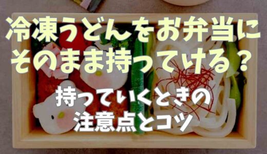 冷凍うどんをお弁当にそのまま持っていける？持っていくときの注意点とコツ