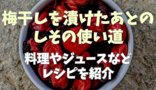 梅干しを漬けたあとのしその使い道