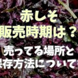 赤しその時期は？売ってる場所と保存方法について