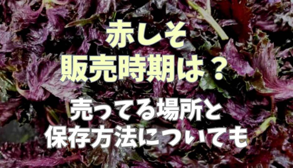 赤しその時期は？売ってる場所と保存方法について