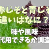 赤紫蘇と青紫蘇の違いは？