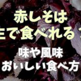 赤しそは生で食べられる？おいしい食べ方