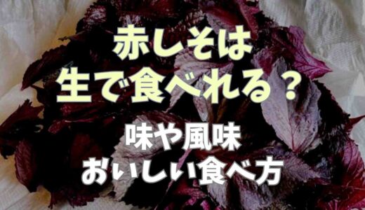 赤しそは生で食べられる？おいしい食べ方