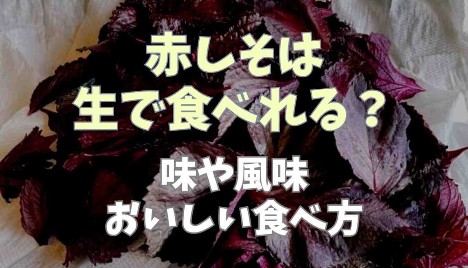 赤しそは生で食べられる？おいしい食べ方