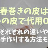 春巻きの皮は餃子の皮で代用できる？違いや手作りの仕方も紹介