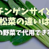 チンゲンサイと小松菜の違いは？他の野菜で代用できるか調査