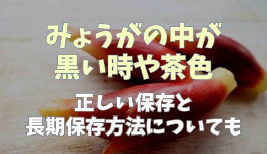 みょうがの黒い時や茶色なのは食べられる？正しい保存と長期保存についても