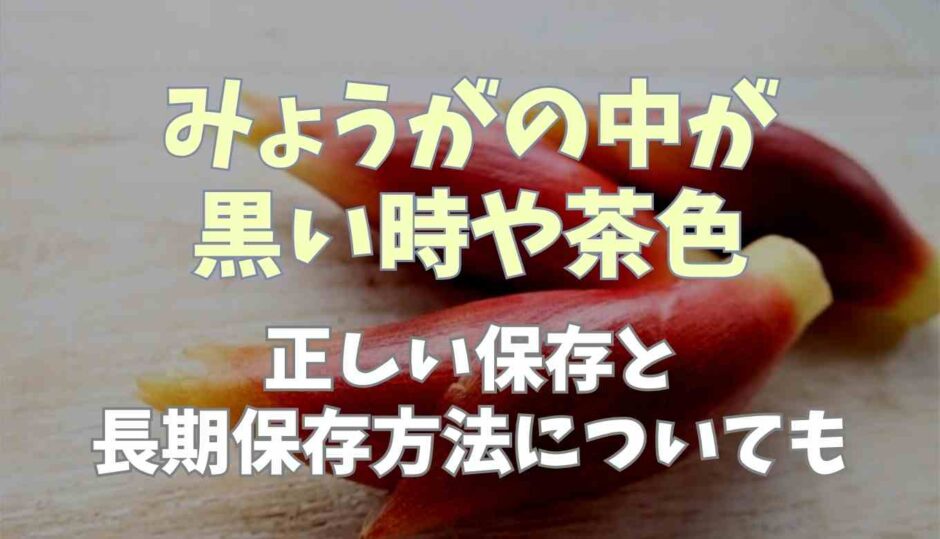 みょうがの黒い時や茶色なのは食べられる？正しい保存と長期保存についても