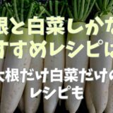 大根と白菜しかないときのおすすめレシピは？大根だけ白菜だけのレシピも