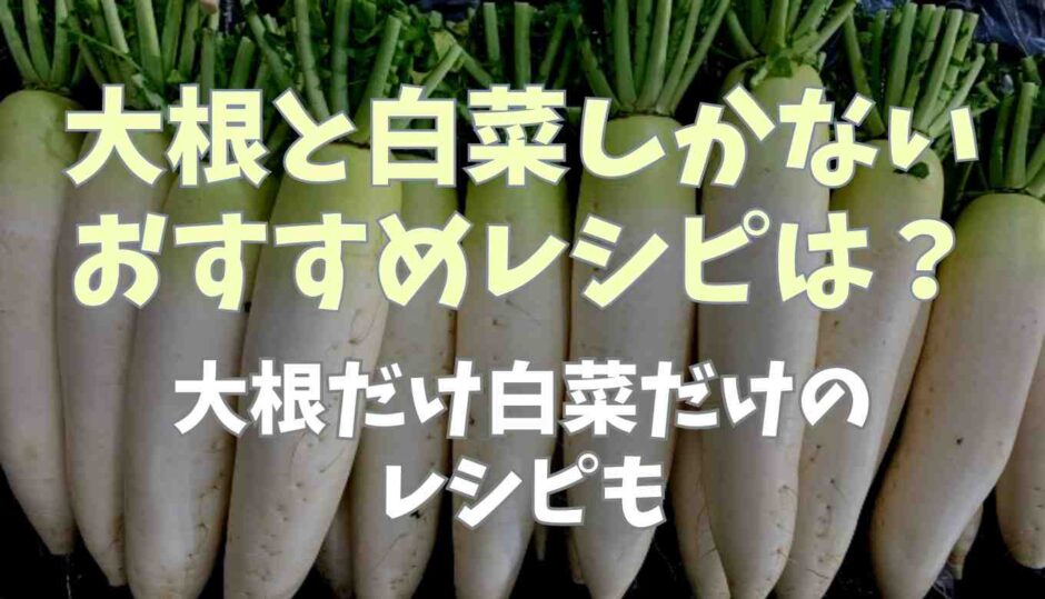 大根と白菜しかないときのおすすめレシピは？大根だけ白菜だけのレシピも