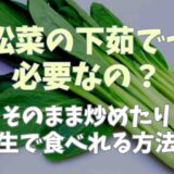 小松菜の下茹でって必要なの？そのまま炒めたり生で食べれる方法