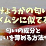 みょうがはカメムシのニオイがする？匂いの成分と薄める方法