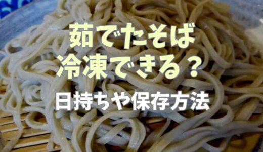 茹でたそばは冷凍できる？日持ちや保存方法