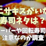 アニサキスがいない寿司ネタは？スーパーや回転寿司も大丈夫？