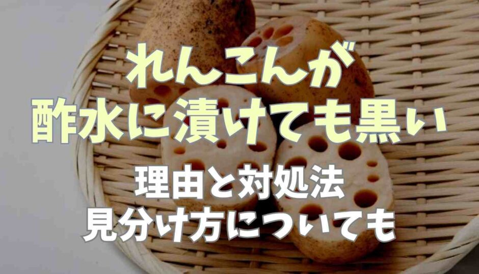 れんこんが酢水に漬けても黒い原因は？対処法についても