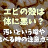 エビの殻は体に悪い？汚いという噂や食べる時の注意点も