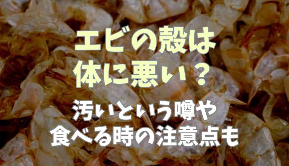 エビの殻は体に悪い？汚いという噂や食べる時の注意点も