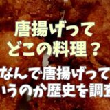 唐揚げってどこの料理？なんで唐揚げっていうか歴史を調査