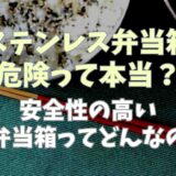 ステンレス弁当箱って危険なの？安全性の高いお弁当箱についても