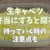 生キャベツはお弁当に入れると腐る？持っていく時の注意点！