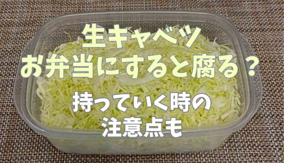 生キャベツはお弁当にすると腐る？持っていく時の注意点