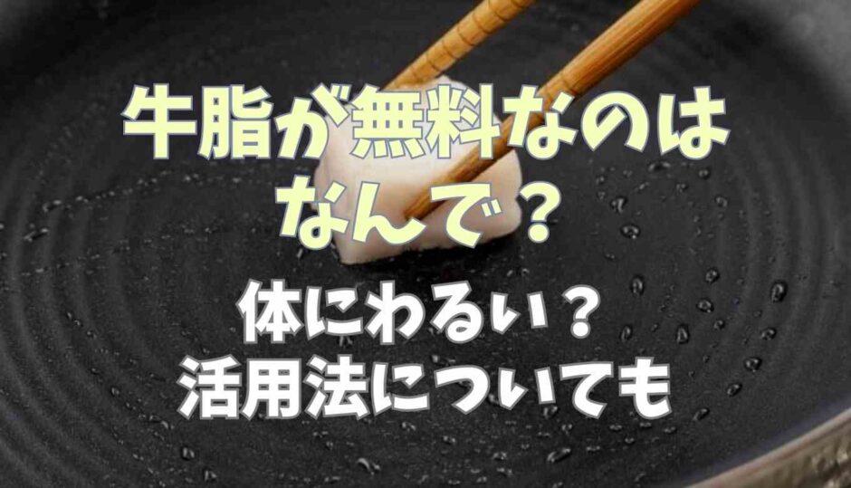 牛脂が無料なのはなんで？体に悪いのか活用法についても