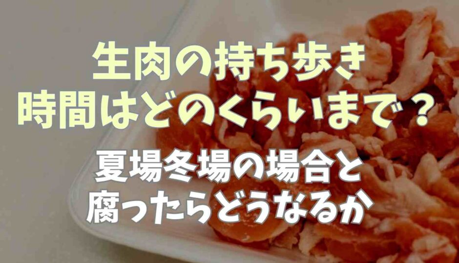 生肉の持ち歩き時間はどのくらいまで？夏場冬場の場合と腐ったらどうなるか