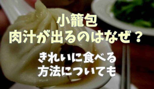 小籠包の肉汁はなぜ出てくる？