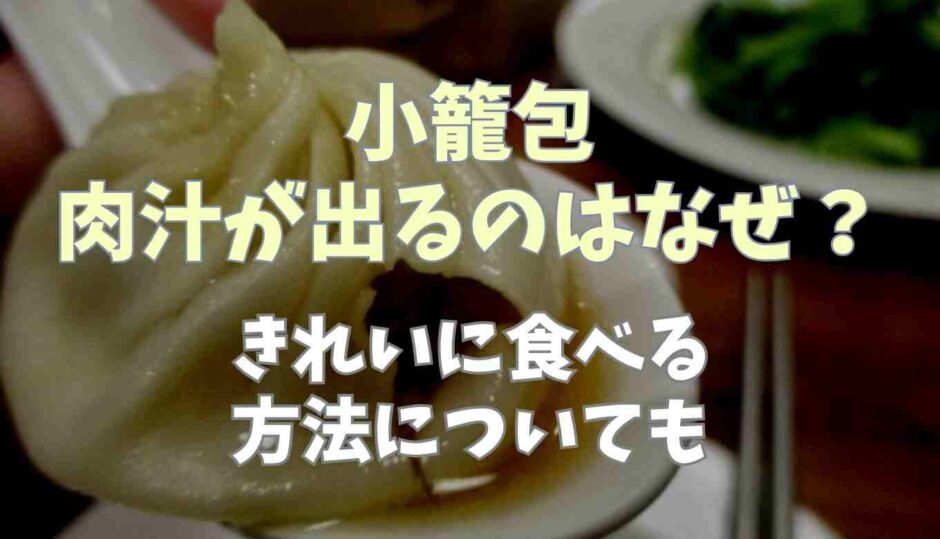 小籠包の肉汁はなぜ出てくる？