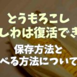 とうもろこしのしわしわは復活できる？保存方法と食べる方法も