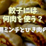 餃子には何肉を使う？餃子用ミンチとひき肉の違いも