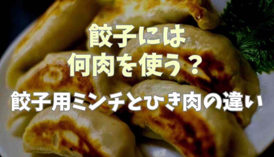 餃子には何肉を使う？餃子用ミンチとひき肉の違いも