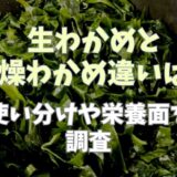 生わかめと乾燥わかめどっちがいいの？使い分けや栄養面を調査