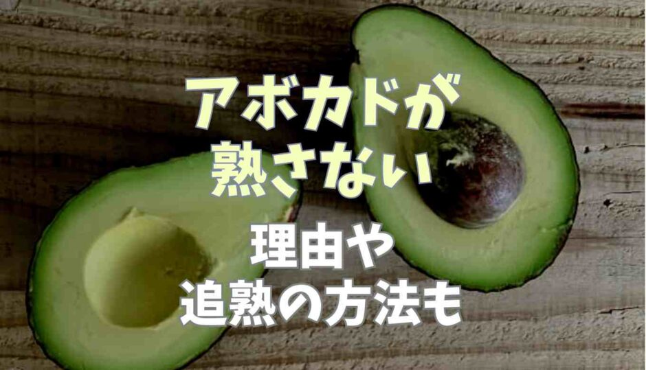 アボカドが熟さない理由