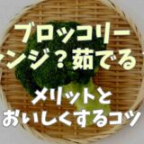 ブロッコリーはレンジか茹でるならどっち？メリットやおいしくするコツも