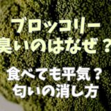 ブロッコリーが臭いのはなぜ？食べれるのかやにおいを消す方法についても調査