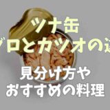 ツナ缶マグロとカツオの違いは？見分け方やおすすめの料理