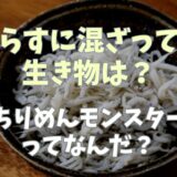 しらすに混ざってる生物は？チリメンモンスターとは何か調査