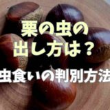 栗の虫の出し方は？虫食いの判別方法や虫も食べても大丈夫かも調査