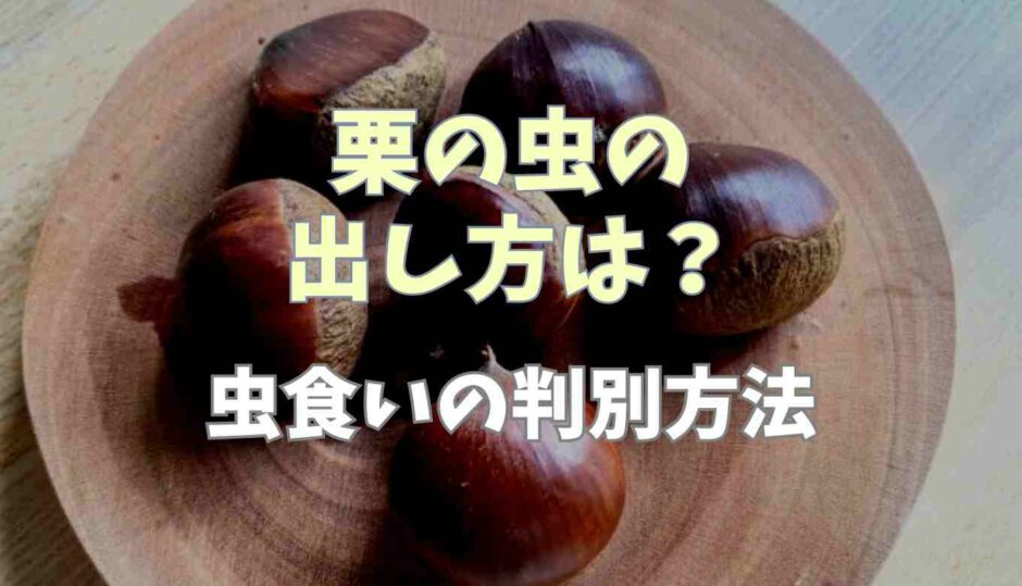 栗の虫の出し方は？虫食いの判別方法