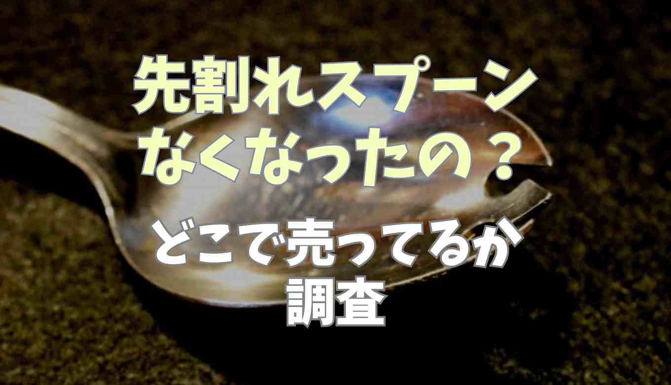 先割れスプーンってなくなったの？どこで売ってるか調査 るーののブログ