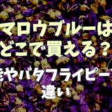 マロウブルーはどこで買える？効能やバタフライピーとの違いも調査