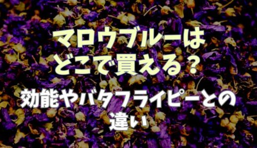 マロウブルーはどこで買える？